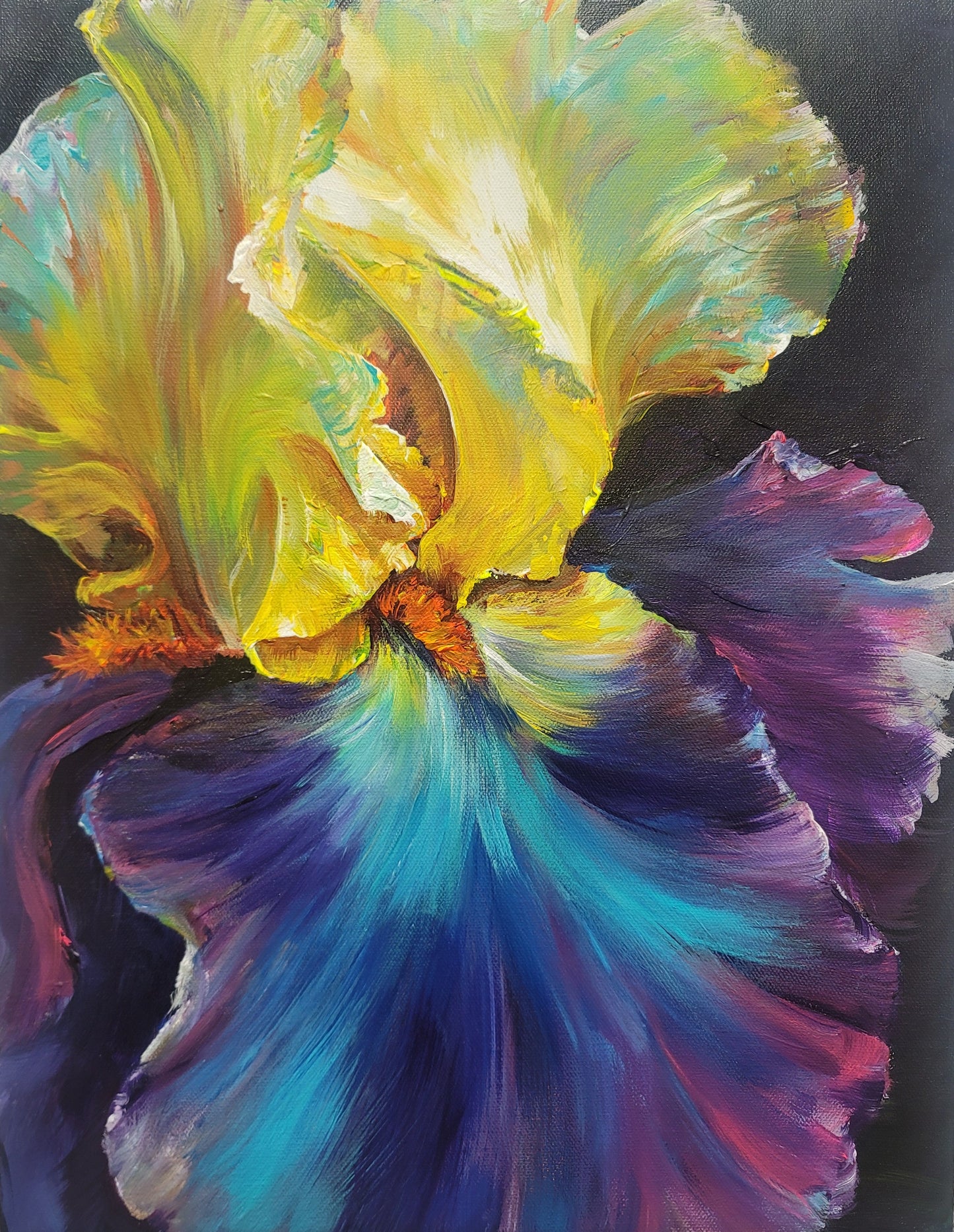Iris Beauty- 14" x 18" - $420