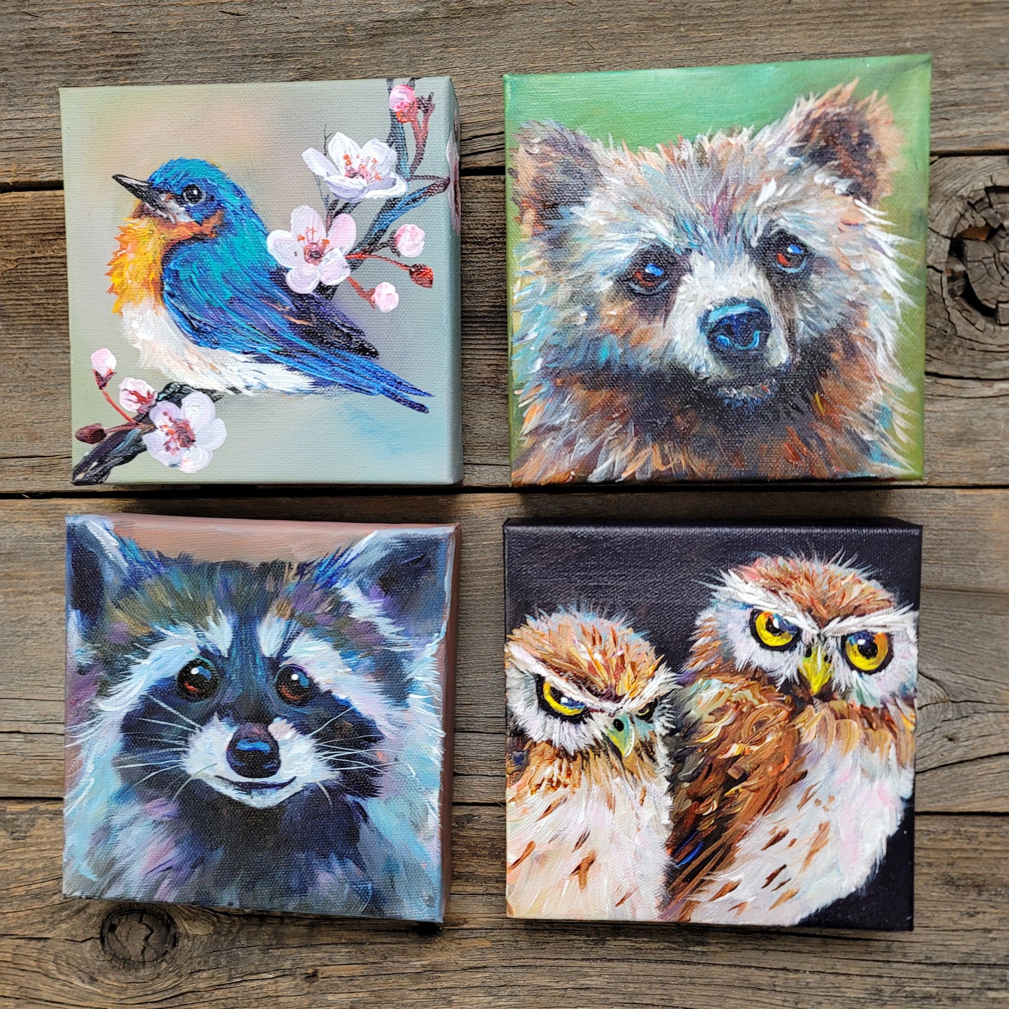 6 x 6 inch Original Acrylic Paintings - $80 each!