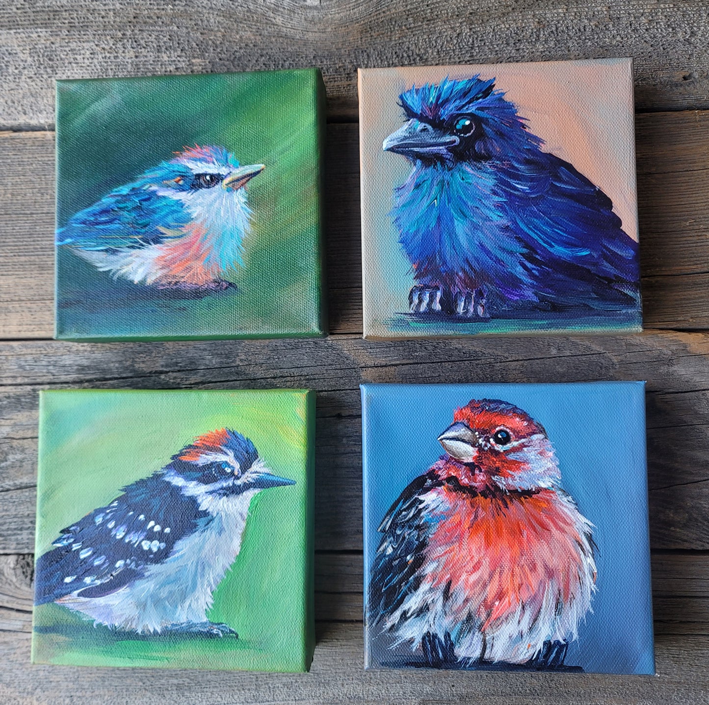 6 x 6 inch Original Acrylic Paintings - $80 each!