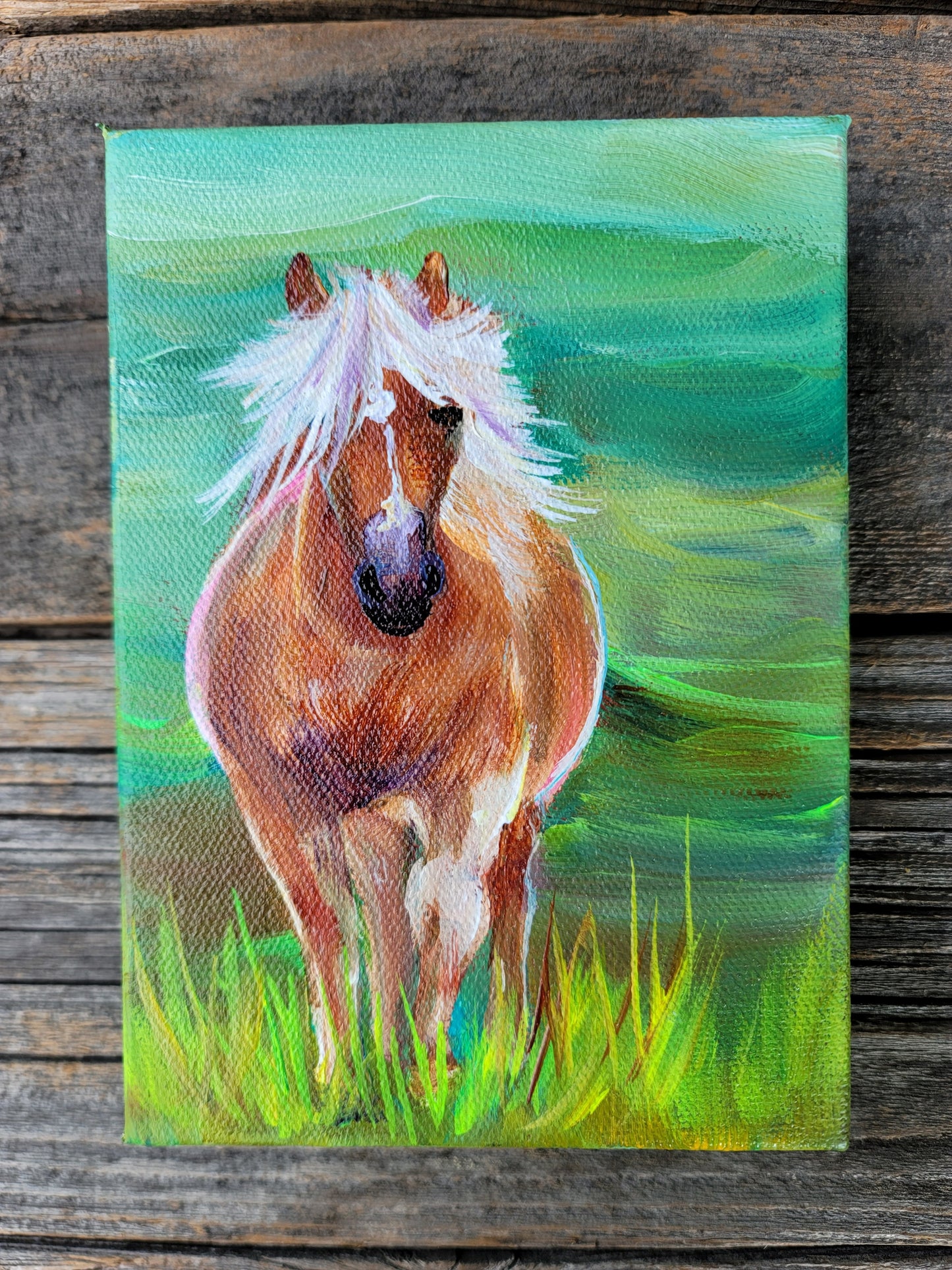 5 x 7 inch Original Acrylic Paintings - $80 each!