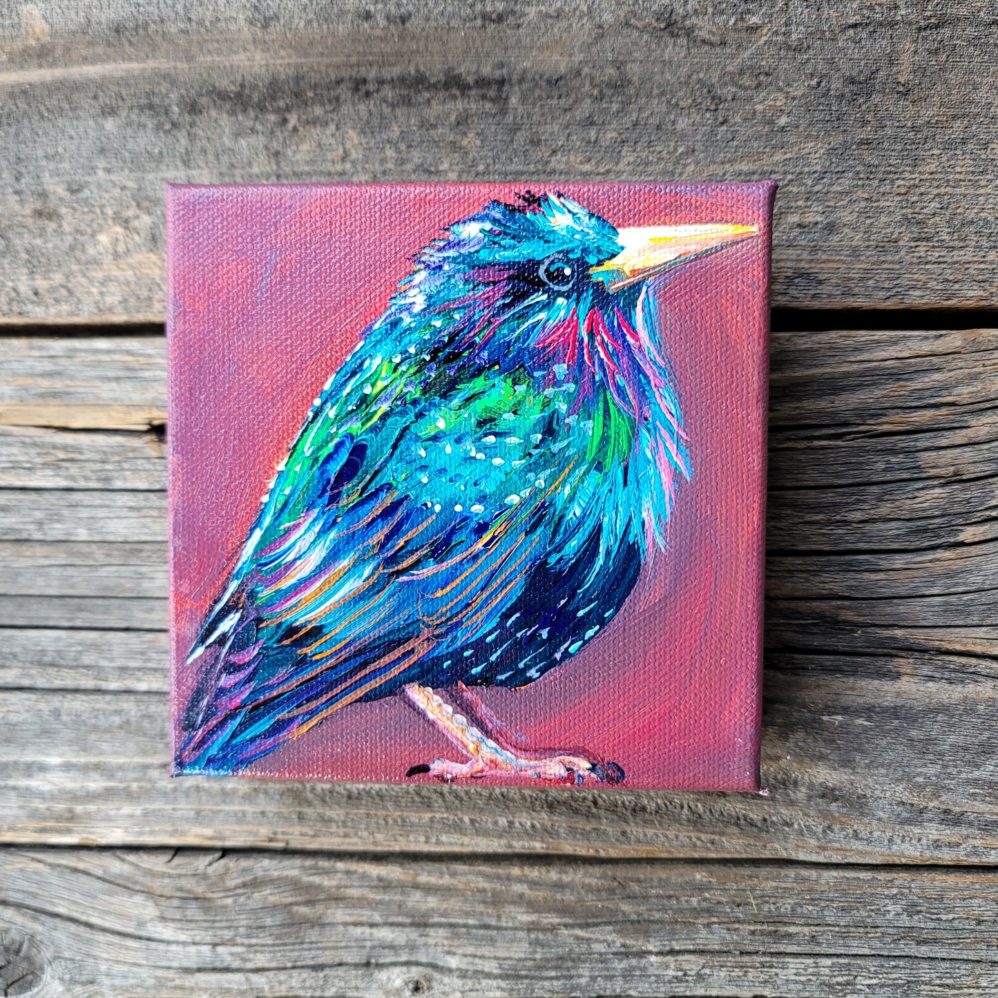 5 x 5 inch Original Acrylic Paintings - $60 each!