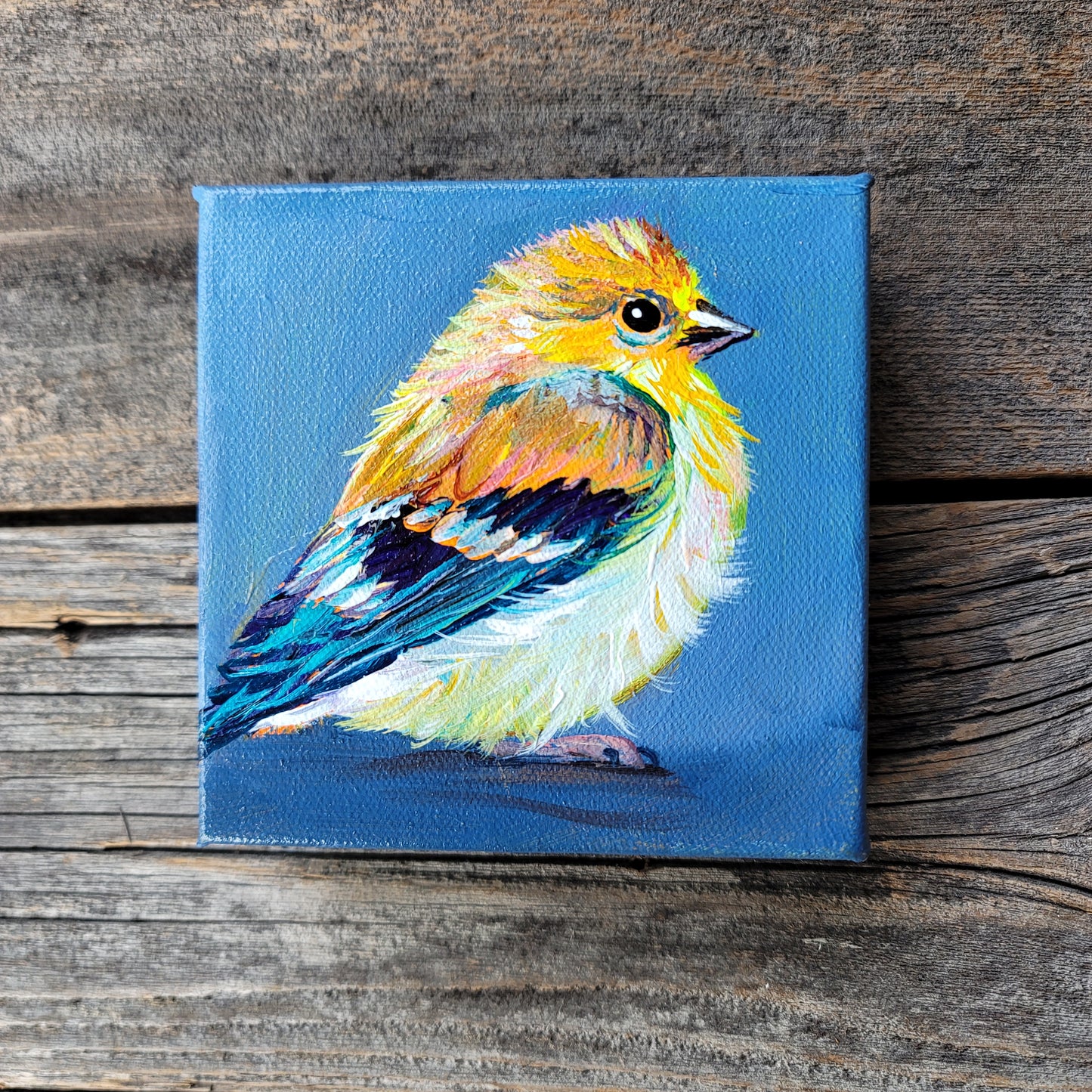 5 x 5 inch Original Acrylic Paintings - $60 each!