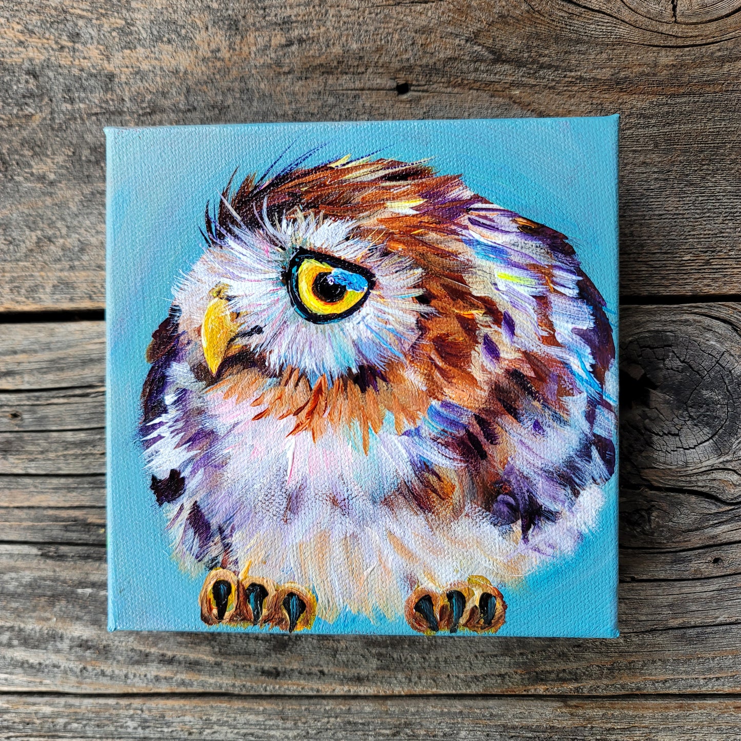 6 x 6 inch Original Acrylic Paintings - $80 each!