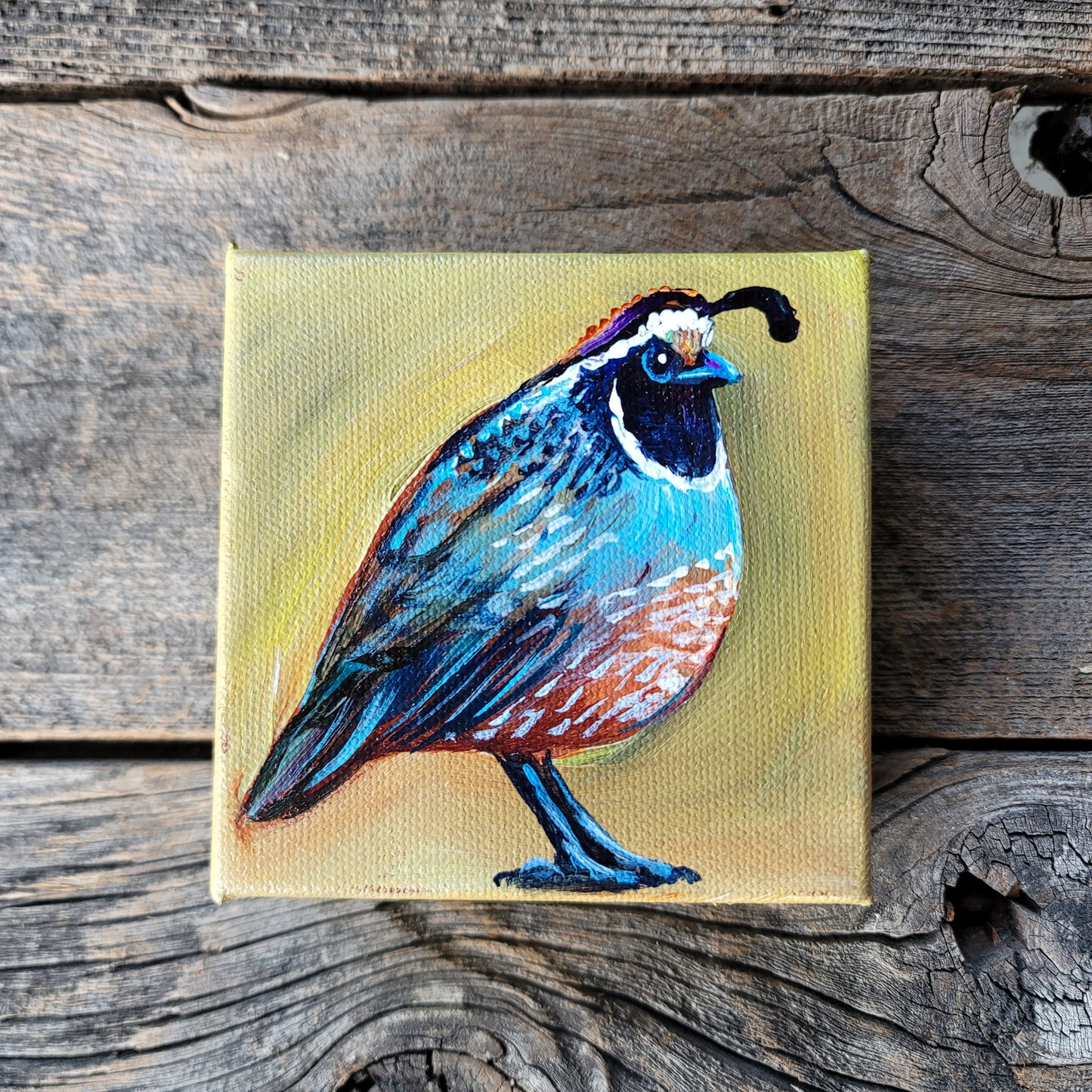 4 x 4 inch Original Acrylic Paintings - $50 each!
