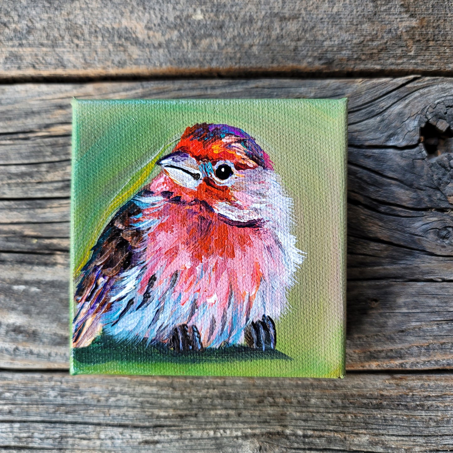 4 x 4 inch Original Acrylic Paintings - $50 each!