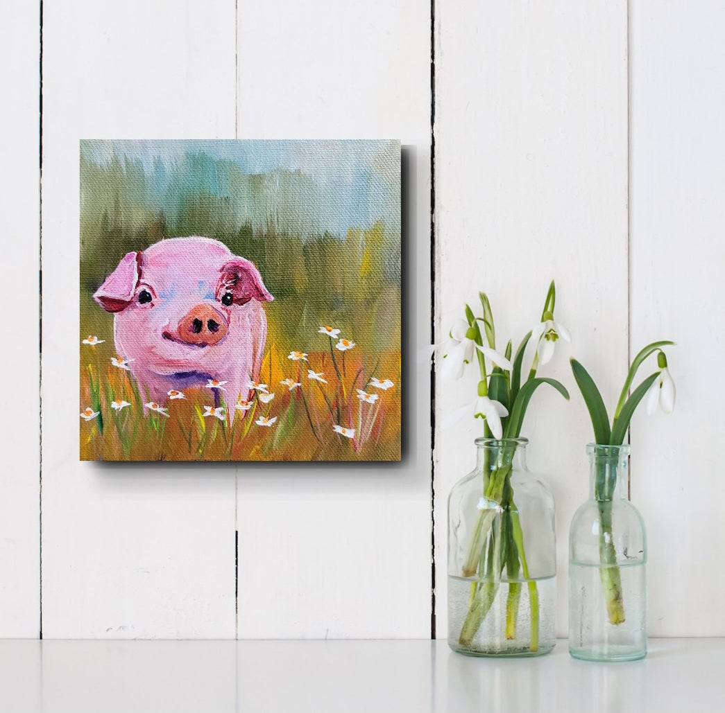 PIG IN DAISIES - 6 x 6" ACRYLIC PAINTING