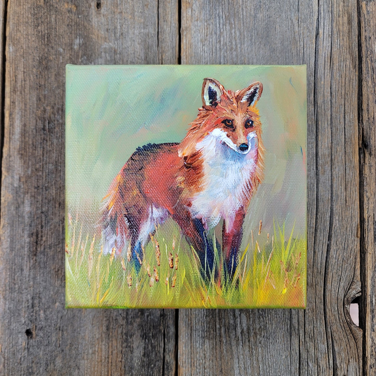 6 x 6 inch Acrylic Paintings -  $80 each!