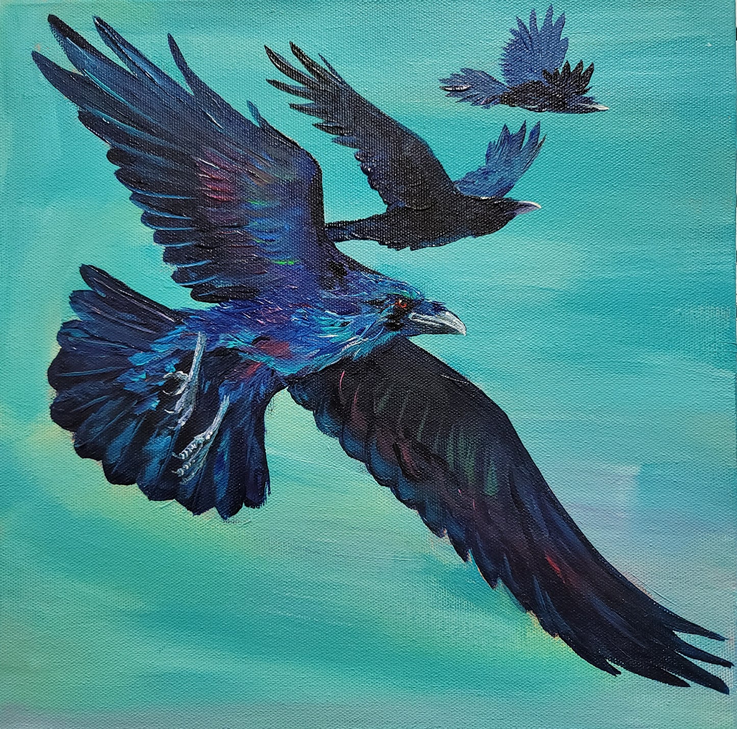 Ravens in Flight #2 - acrylic painting - 12" x 12"