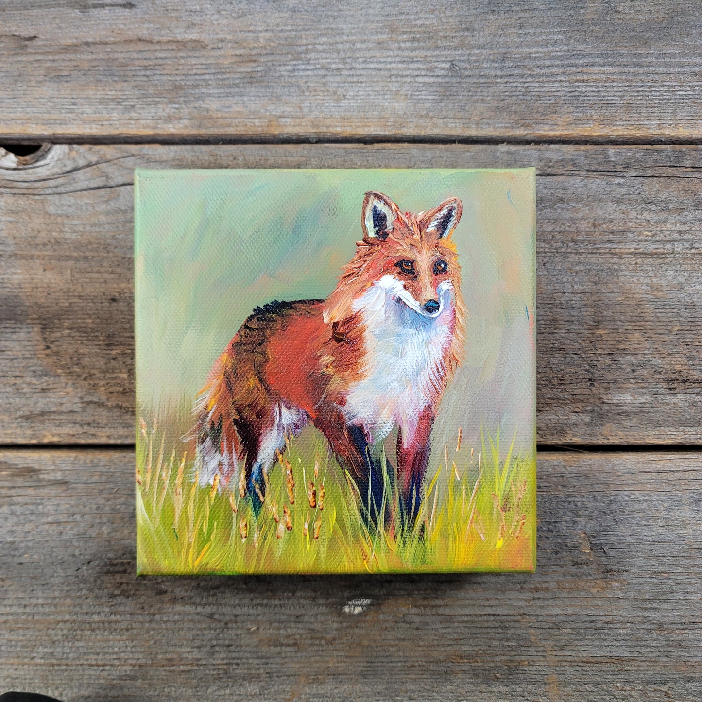 6 x 6 inch Original Acrylic Paintings -  $80 each!