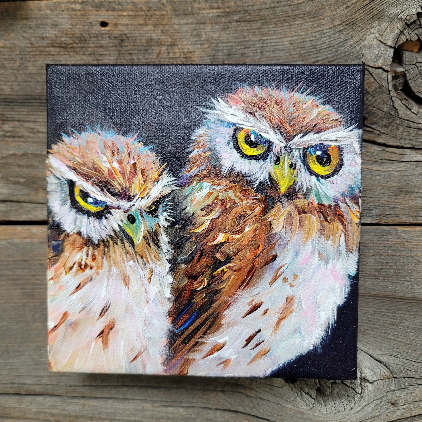 6 x 6 inch Original Acrylic Paintings -  $80 each!