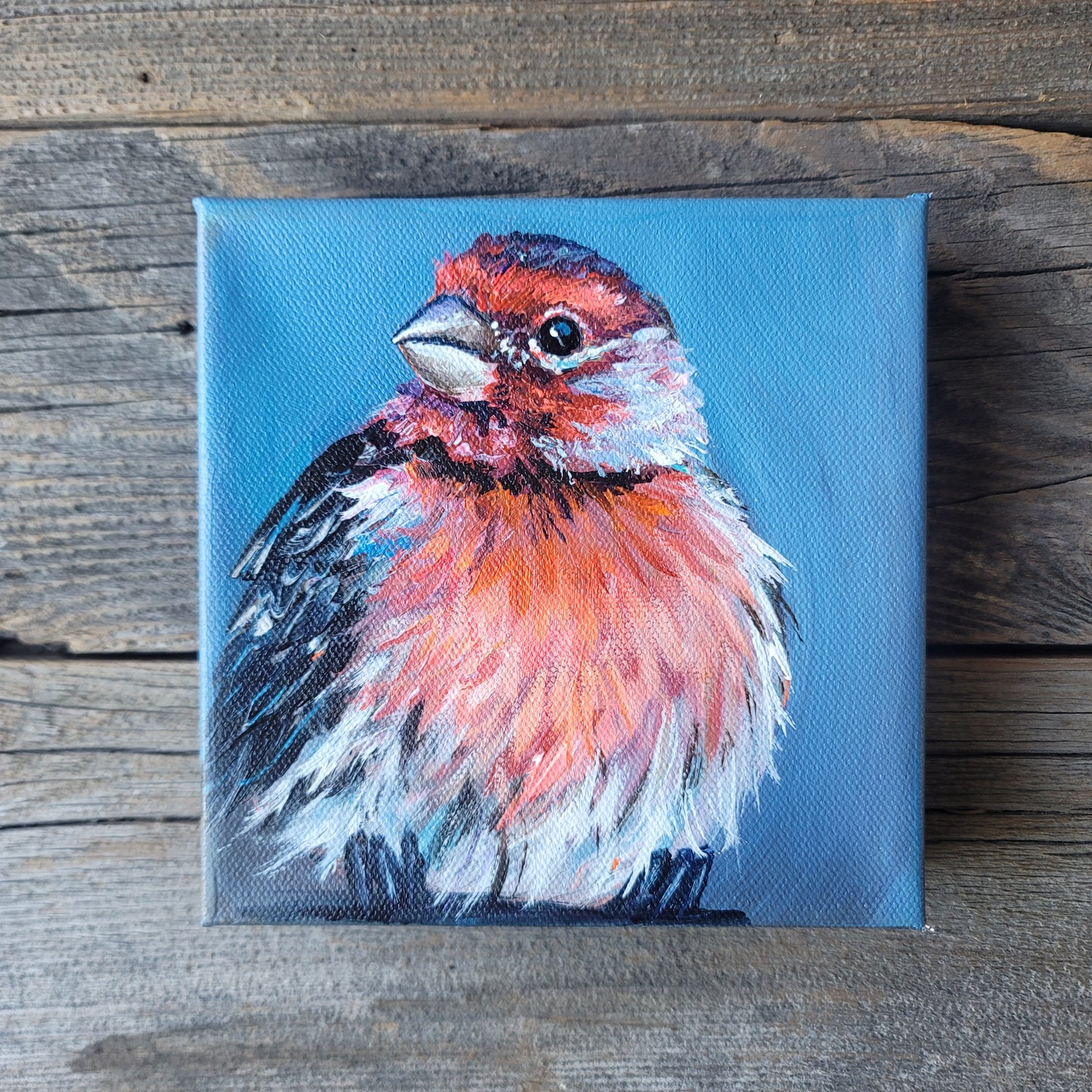 6 x 6 inch Original Acrylic Paintings -  $80 each!