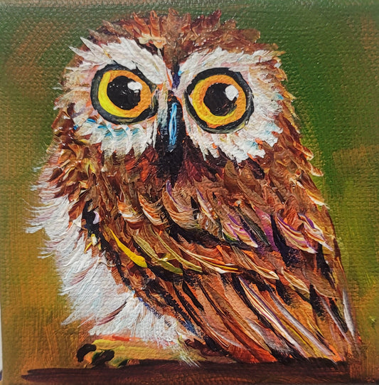 4 x 4 inch Original Acrylic Painting - Young Owl -  $50 each!
