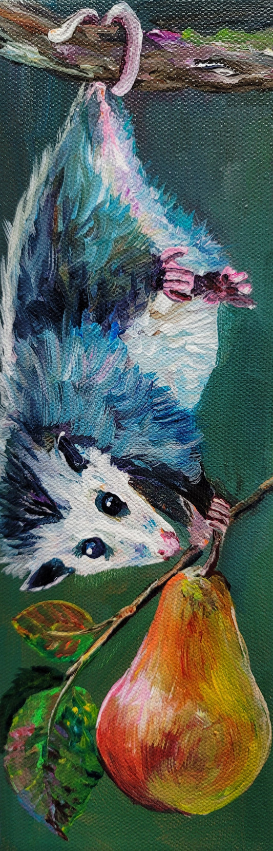 Pear Picking Possum - 4 x 12 inch Original Acrylic Paintings -  $95 each!