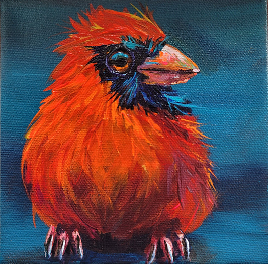SASHA -  Sasha is very much aware that his plumage looks stunning with this background colour. Props to Sasha.  6 x 6"  ACRYLIC PAINTING