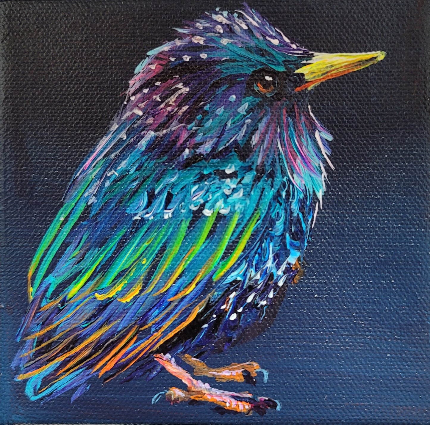 LITTLE SOLDIER - I always thought of starlings as smart dressed little soldiers. Not sure why. Maybe it's the flocks they descend in. 5 x 5"  ACRYLIC PAINTING