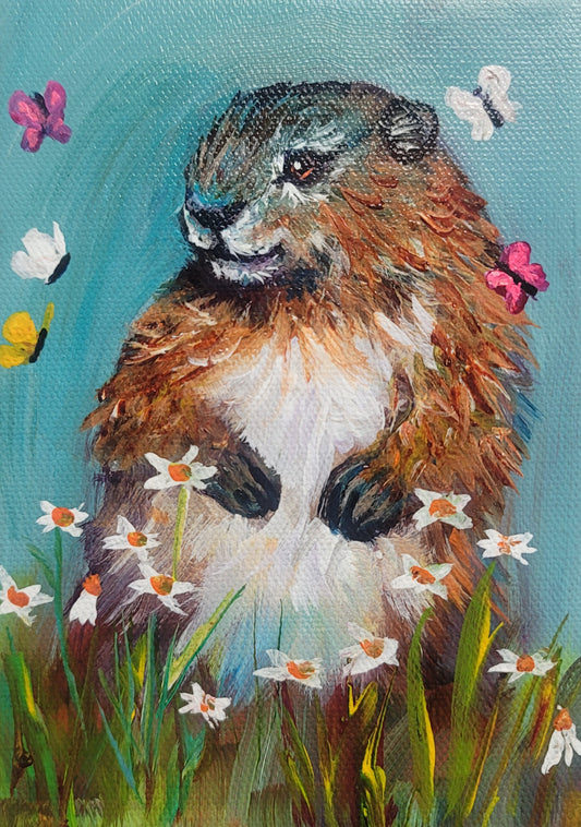 BUTTERFLY KISSES - This bashful Marmot is is unsure how to take the flirting of butterflies. 5 x 7" ACRYLIC PAINTING