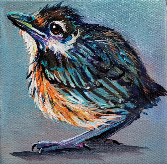 ROBIN FLEDGLING - How can something so homely be so cute? 4 x 4" ACRYLIC PAINTING