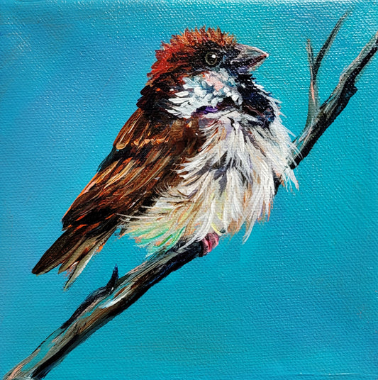 RUFFLED - Puffed up! He's either trying to impress the chicks on the next branch or he's cold.    6 x 6"  ACRYLIC PAINTING