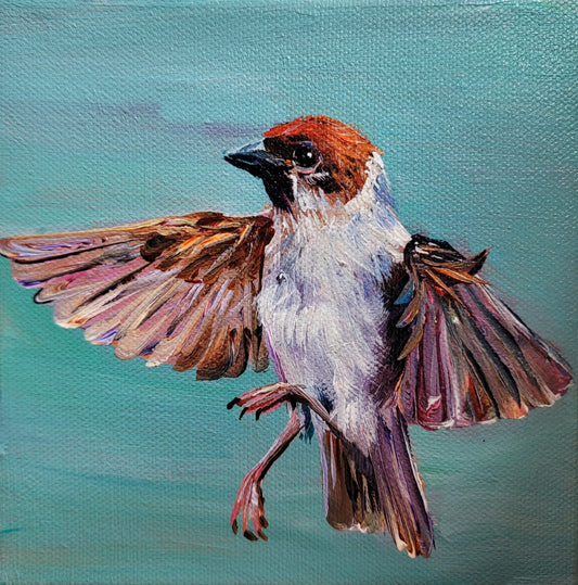 TWINKLE TOES -  Possibly performing the flight of the bumble bee. 6 x 6" ACRYLIC PAINTING