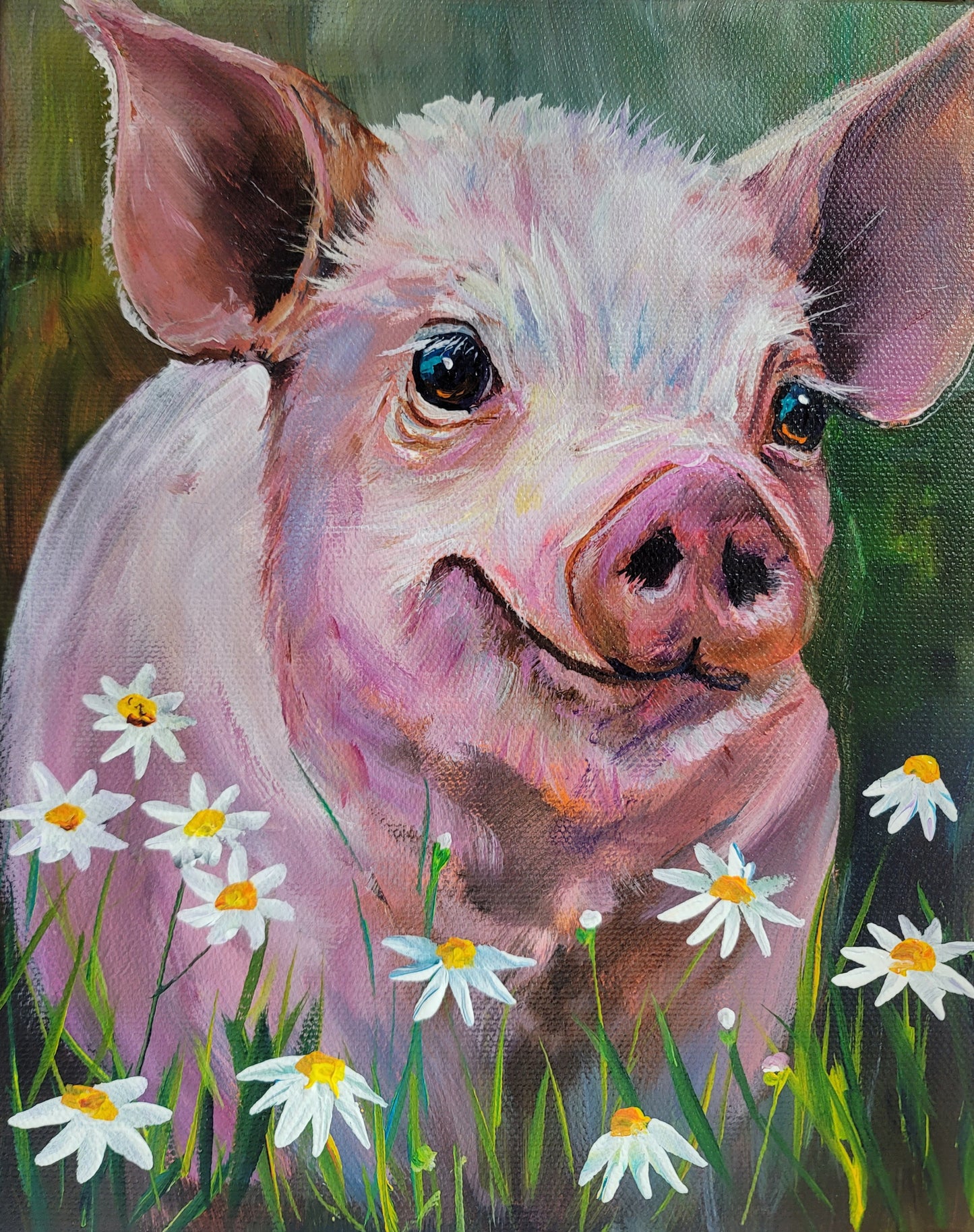 PIG IN DAISIES -   8 x 10" ACRYLIC PAINTING