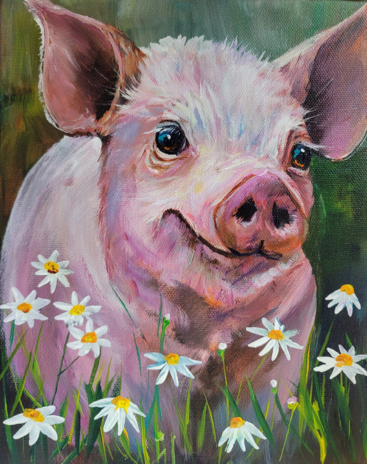 PIG IN DAISIES -   8 x 10" ACRYLIC PAINTING