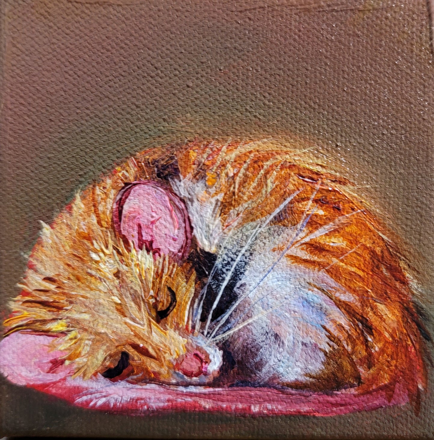 SLEEPYHEAD -   4 x 4" ACRYLIC PAINTING