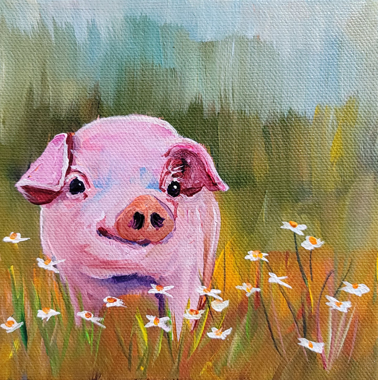 PIG IN DAISIES -   6 x 6" ACRYLIC PAINTING