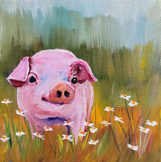 PIG IN DAISIES -   6 x 6" ACRYLIC PAINTING