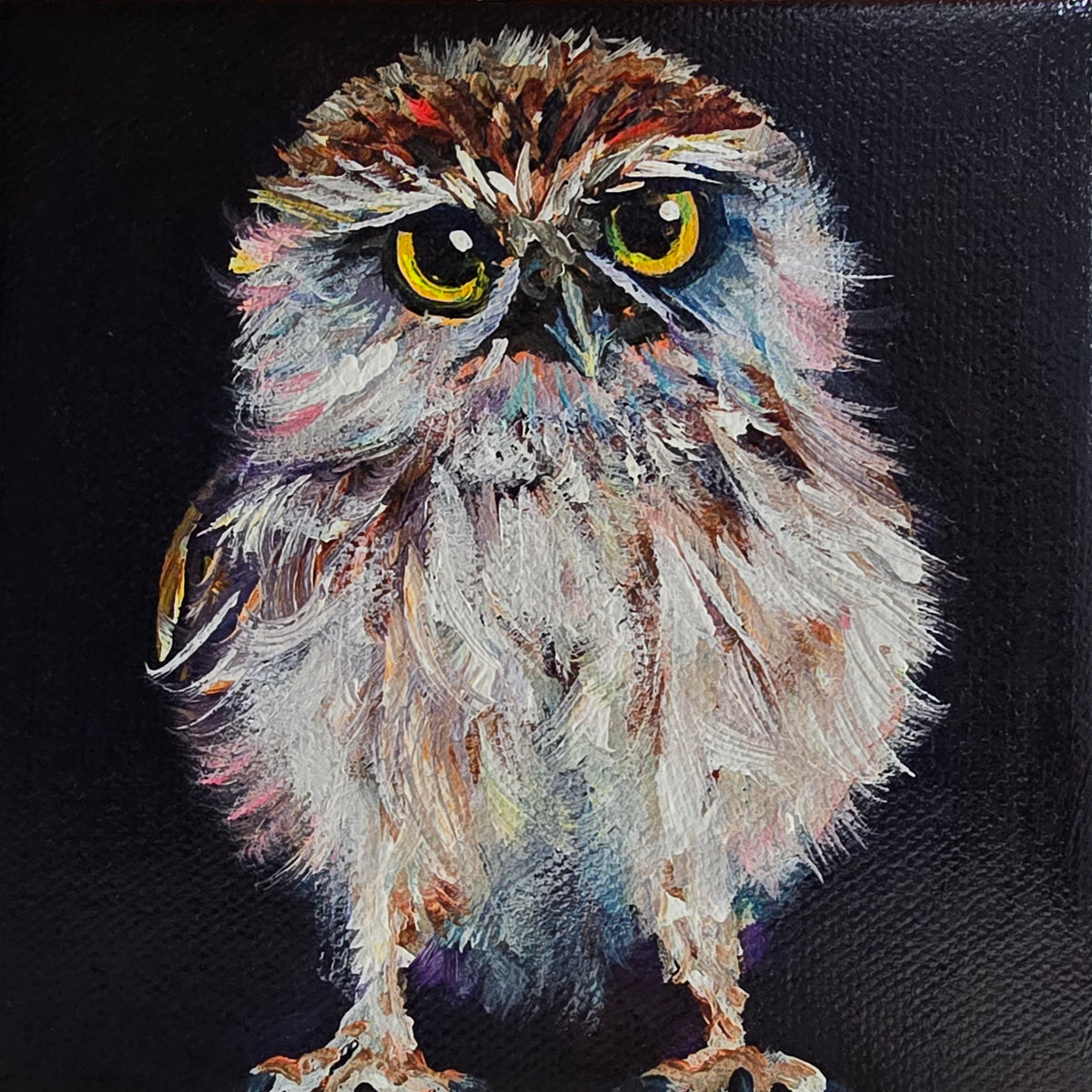 OLLIE - "He's not fluff, there's a sixpack under there."  5 x 5" ACRYLIC PAINTING