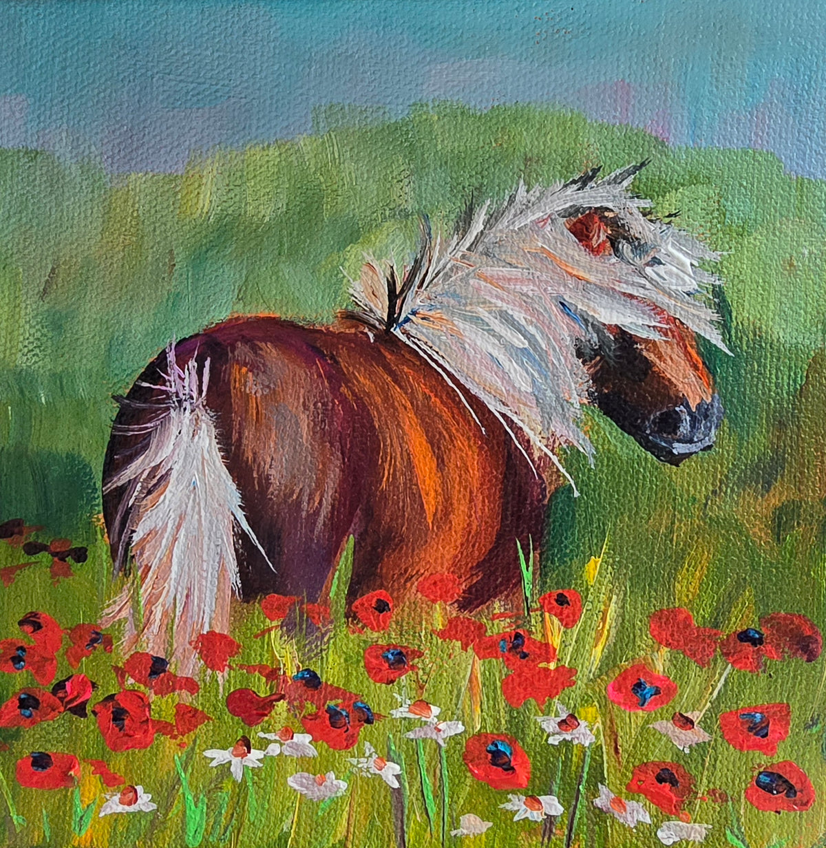SALLY- Sally knows she looks her best in a field of poppies. 6 x 6" ACRYLIC PAINTING