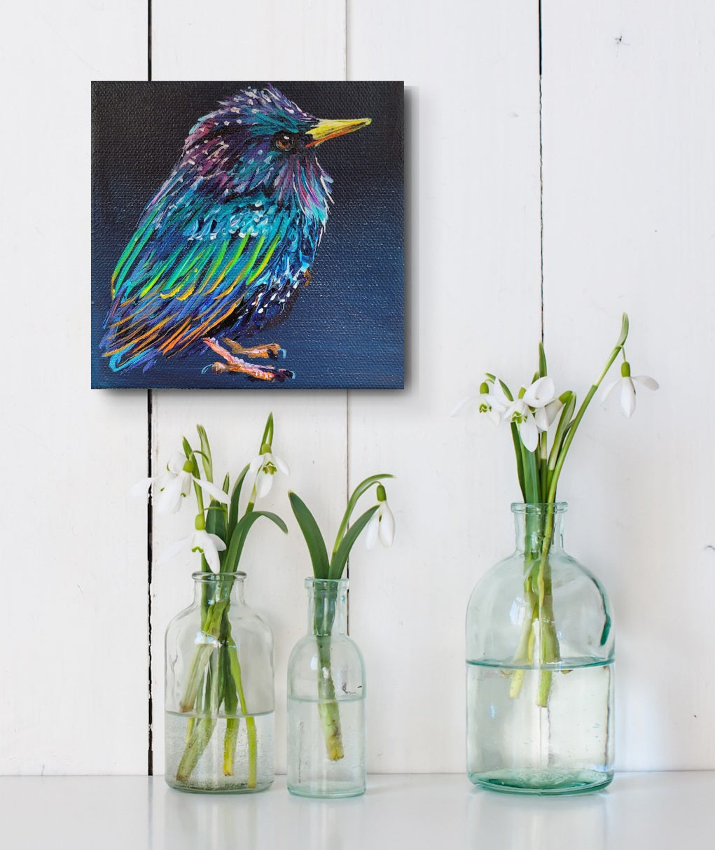 LITTLE SOLDIER - I always thought of starlings as smart dressed little soldiers. Not sure why. Maybe it's the flocks they descend in. 5 x 5"  ACRYLIC PAINTING